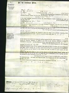 Court of Common Pleas - Elizabeth Johnson-Original Ancestry