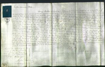 Court of Common Pleas - Sarah Bishop-Original Ancestry