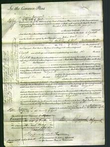 Court of Common Pleas - Elizabeth Morton-Original Ancestry