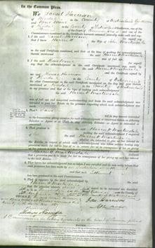 Court of Common Pleas - Harriett Martindale-Original Ancestry