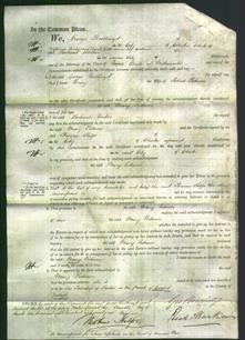 Court of Common Pleas - Mary Podmore-Original Ancestry