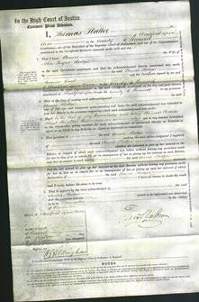 Court of Common Pleas - Annie Hodges-Original Ancestry