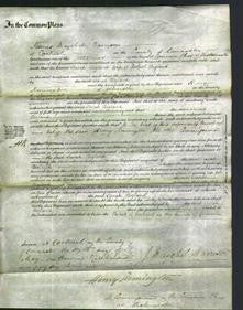 Court of Common Pleas - Sarah Bigland-Original Ancestry