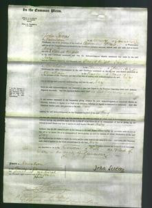 Court of Common Pleas - Mary Knight-Original Ancestry