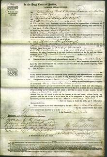 Court of Common Pleas - Ann Martha Lewis-Original Ancestry