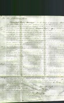 Court of Common Pleas - Sarah Lewis, Elizabeth Williams and Hannah Davies-Original Ancestry