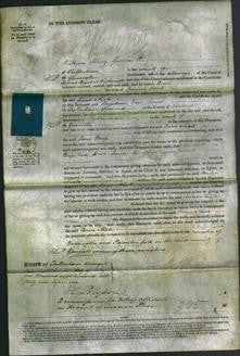 Court of Common Pleas - Anne Neale-Original Ancestry