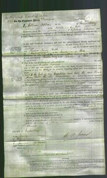 Court of Common Pleas - Mary Ann Millard Sumners-Original Ancestry