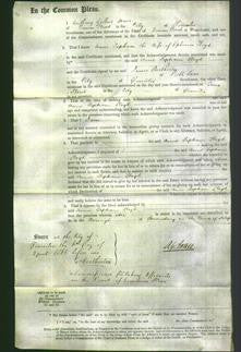 Court of Common Pleas - Anne Topham Lloyd-Original Ancestry