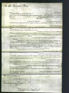 Court of Common Pleas - Sarah Maria Boynton and Ann Morfitt-Original Ancestry