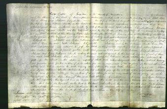 Court of Common Pleas - Edith Johnson, Elizabeth Johnson, Lydia Catherine Smith-Original Ancestry