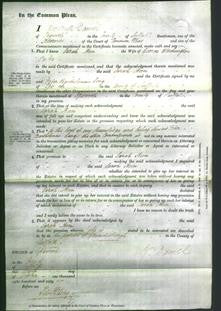 Court of Common Pleas - Sarah Ann Tailor-Original Ancestry