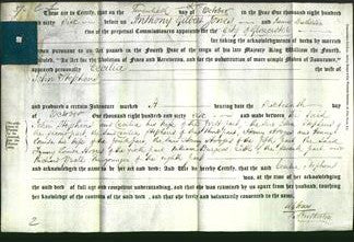 Deed by Married Women - Cecilia Stephens-Original Ancestry