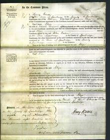 Court of Common Pleas - Eliza Serjeant-Original Ancestry