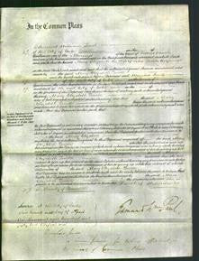 Court of Common Pleas - Mary Elizabeth Quicke-Original Ancestry