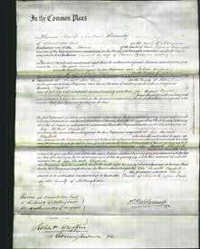 Court of Common Pleas - Elizabeth Godfrey-Original Ancestry