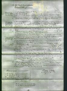 Court of Common Pleas - Mary Ann Lorrimer-Original Ancestry
