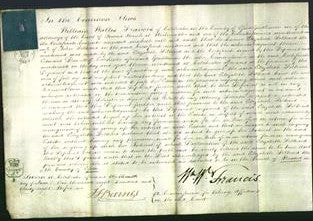 Court of Common Pleas - Elizabeth Folkland-Original Ancestry