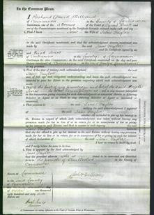 Court of Common Pleas - Jane Taylor-Original Ancestry