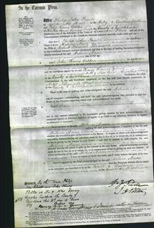 Court of Common Pleas - Helena Anne Maxwell-Original Ancestry