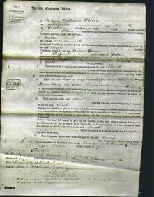 Court of Common Pleas - Sarah Hancock-Original Ancestry