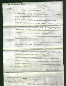 Court of Common Pleas - Margaret Cressey-Original Ancestry