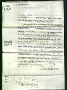 Court of Common Pleas - Ann Slinn-Original Ancestry