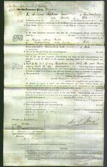 Court of Common Pleas - Mary Ann Millard Sumners-Original Ancestry