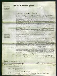 Court of Common Pleas - Jane Thomas and Eliza John-Original Ancestry