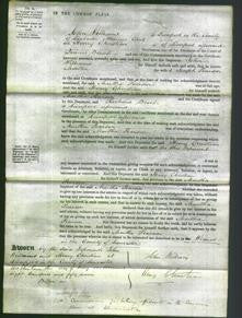 Court of Common Pleas - Martha Pearson-Original Ancestry