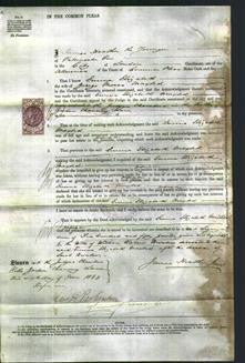 Court of Common Pleas - Emma Elizabeth Maxted-Original Ancestry