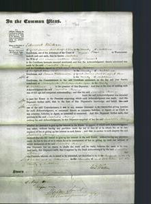 Court of Common Pleas - Isabella Stronge-Original Ancestry