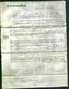 Court of Common Pleas - Ann Maria Spikins-Original Ancestry