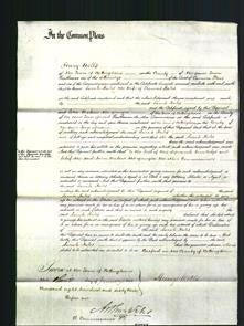 Court of Common Pleas - Sarah Hales-Original Ancestry