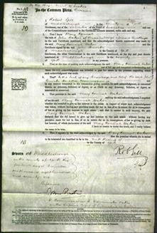 Court of Common Pleas - Mary Hannah Watson-Original Ancestry