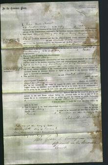 Court of Common Pleas - Elizabeth Mary Wheaton-Original Ancestry