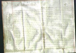 Court of Common Pleas - Susannah Mary Penrose-Original Ancestry