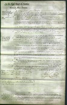 Court of Common Pleas - Elizabeth White, Mary Emma Murdock-Original Ancestry