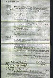 Court of Common Pleas - Helena Anne Maxwell-Original Ancestry