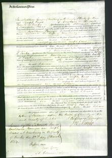 Court of Common Pleas - Rebecca Bailey-Original Ancestry