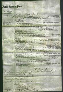 Court of Common Pleas - Susanna Bateson-Original Ancestry