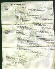 Court of Common Pleas - Elizabeth Shenton-Original Ancestry