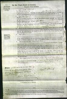 Court of Common Pleas - Elizabeth Thomas-Original Ancestry