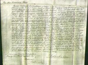 Court of Common Pleas - Mary Deavile-Original Ancestry