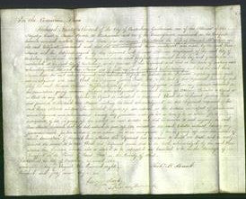 Court of Common Pleas - Ann Maria McKenyon-Original Ancestry