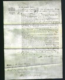 Court of Common Pleas - Frances Eliza Richards-Original Ancestry