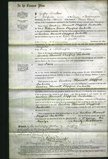 Court of Common Pleas - Caroline Harriett Stopford Sackville-Original Ancestry