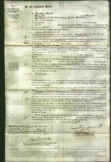 Court of Common Pleas - Mary Shackleton, Sarah Foster and Elizabeth Binns-Original Ancestry