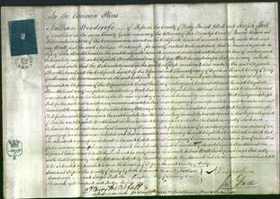 Court of Common Pleas - Elizabeth Brocklehurst-Original Ancestry