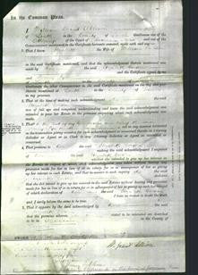 Court of Common Pleas - Elizabeth Corden-Original Ancestry